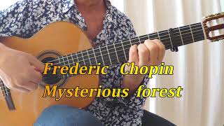 Frederic  Chopin - Mysterious  Forest - fingerstyle  guitar cover  by  Manol  Raychev