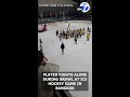 Player fights alone during brawl at ice hockey game in Bangkok