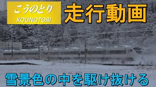 【特急こうのとり走行動画】　＜２８７系＆２８９系＞　～雪景色の中を駆け抜ける～