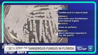 CDC warns of dangerous fungus in Florida