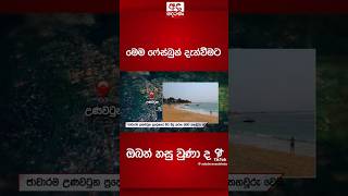 මේ වංචාවට අහු වෙන්න එපා😵 #subscribemychannel #bank #cheat #news #fypシ゚viral