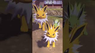 #Shots　ポケモン)サンダースを愛でるだけ(アルセウス