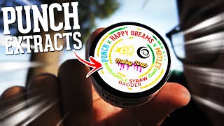 PUNCH EXTRACTS HAS THE FRUITIEST GMO EVER!