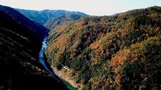 【ドローン 4K空撮】京都 保津峡の紅葉