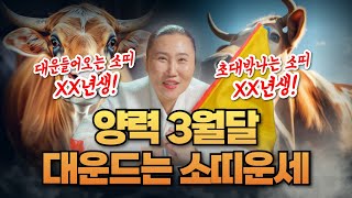 2025년 3월달 소띠운세🐮 \