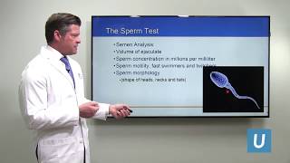 Improving Fertility in Men with Poor Sperm Count | Jesse Mills, MD | UCLAMDChat