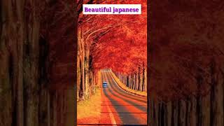Beautiful japanese 😍 #日本 #beautiful #japanese #ultraHD #virulvideo #美しい日本 #8k #日本の国 #shorts
