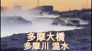 水中映像あり 多摩川の温排水溝でバス狙い 多摩大橋付近 おかっぱりポイントを探す旅