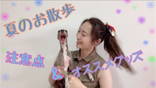 夏☆犬のお散歩の注意点とオススメグッズ