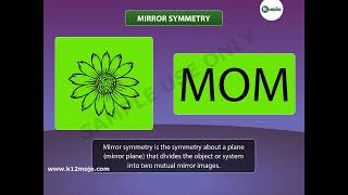 Line and Mirror Symmetry