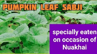 how to make Tasty sabji from pumpkin Leaf #ମାଖନ୍ ଶାଗ #कद्दू का सब्जी #pumpkin sabji #Nuakhai special