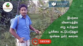 Yogurt solution that's herbal (தயிர் கரைசல் அதுவும் மூலிகைகளில்)