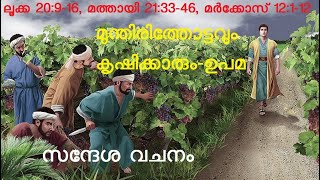 ലൂക്ക 20:9-16, മത്തായി 21:33-46, മർക്കോസ് 12:1-12, മുന്തിരിത്തോട്ടവും കൃഷിക്കാരും-ഉപമ, സന്ദേശ വചനം