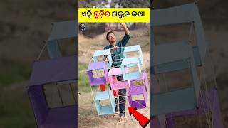 ଏହି ହାତ ତିଆରି Kite କ'ଣ ଉଡ଼ିବ 🤔😳 | Facts in Odia #shorts #facts #kite