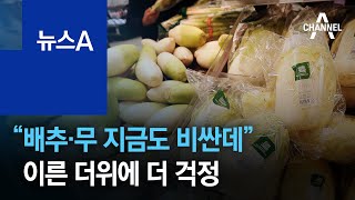 “배추·무 지금도 비싼데”…이른 더위에 더 걱정 | 뉴스A