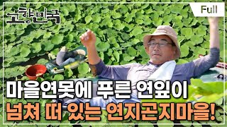 [Full] 고향민국 - 철원, 다시 꽃피는 고향마을