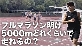 フルマラソン明けで5000mってどれくらいで走れるの？