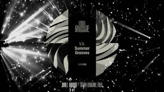 LOW124 Various Artist - V. A. Summer Groove (Mixed By Sefry) [LOWGROOVE]