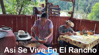 Albóndigas de Pollo como las de mi Abuela | Receta FÁCIL y Rendidora