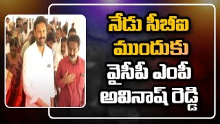 నేడు సీబీఐ ముందుకు వైసీపీ ఎంపీ అవినాష్ రెడ్డి | MP Avinash Reddy Will Attend The CBI Investigation