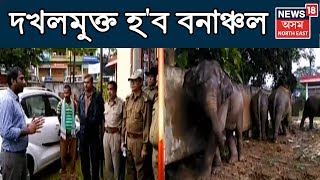 দখলমুক্ত হ'ব বনাঞ্চল, আৰম্ভ হ'ব Cacharৰ DGOৰ নেতৃত্বত অভিযান