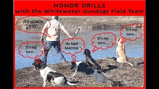 Training to Honor another Working Dog on Retrieve- Curbing Instinct/Keeping invites on group hunts