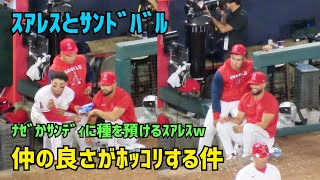 スアレスとサンディ 仲の良さがホッコリする件  ほんわかダグアウト  Angels  Shohei Ohtani  大谷翔平