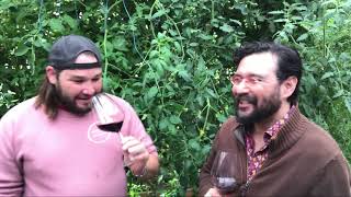 Tasting Cabernet Franc and Baco Noir