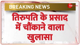 Breaking News: तिरुपति के प्रसाद में चौंकाने वाला खुलासा | Tirupati Prasad Animal Fat | Laddu