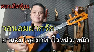 สอนดีดพิณ Cover เพลงวอนลมฝากรัก #วอนลมฝากรัก #มูนมังอีสานChannel