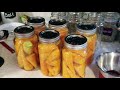 canning carrots ~ crazy easy