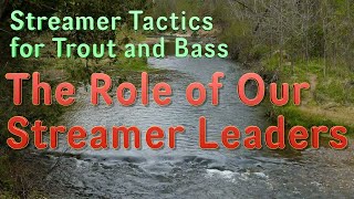 Streamer tactics for Trout and Bass: Role of Our Streamer Leaders for Effective Fishing