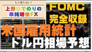 ドル円【FOMC早回し完全収録】米国雇用統計発表後の値動きとトレード戦略【MT4フィボナッチFX】