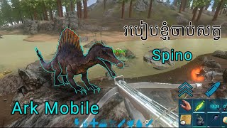 របៀបចាប់Spinaក្នុង Ark | Ark mobile