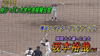 【２０１８侍ジャパン大学代表候補合宿】横浜DeNAベイスターズドラフト２位坂本裕哉投手（立命大）の投球！