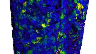 Gas Diffusion Layer visualization & analysis using ORS Visual SI