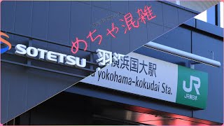 開業当日の羽沢横浜国大駅はこんな感じでした。