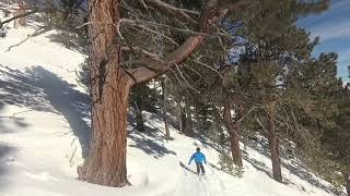 YDXJ0958 Heavenly- Killebrew Canyon to Upper Traverse trail 01.23.2019