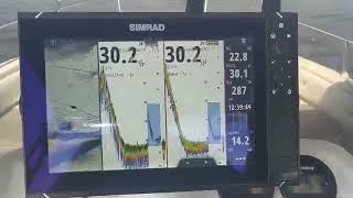 SIMRAD Evo3 Airmar M135M and NAVICO DFSBL