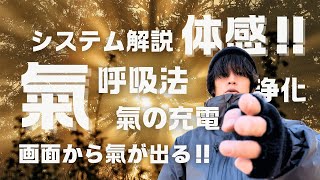 【強力注意‼︎】あなたも“氣“を感じられる動画！