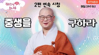 중생을 구하라 ㅣ광우스님의 소나무 2편 모아보기