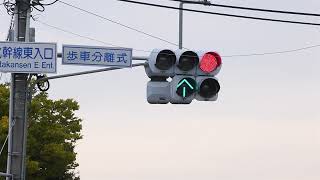 福島県国道4号沿いにある2種類の歩車分離式をご紹介！