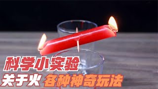 神奇的科学小实验，法老之蛇燃烧冰块，关于火的各种科学之美【神奇小实验】