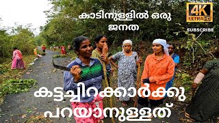 കട്ടച്ചിറക്കാർക്കു പറയാനുള്ളത് | കാടിനുള്ളിൽ ഒരു ജനത | kattachira | kudappana | maniyar | chittar