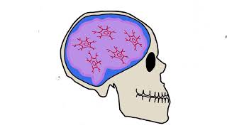 The Hidden Risks of Football Hits: Understanding CTE