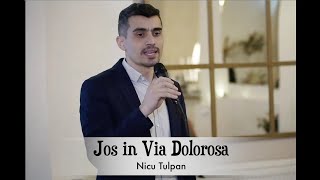 Jos in via dolorosa(Nicu Tulpan)