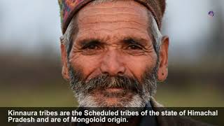 Indian Aboriginal Tribes | Bhils | Mundas | Santhals | Oraons | Mishings | Kotas | Todas | Gonds |