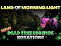 Life Of A Shai #61: Moss Trees On The Land Of The Morning Light!?! - Black Desert Online