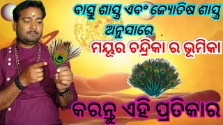 ମୟୂର ଚନ୍ଦ୍ରିକା ପ୍ରତିକାର