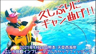 久しぶりに釣れました!ロッドぎゃん曲げでハッピー^^2021年4月24日熊本･天草西海岸カヤックフィッシング【マリンスピーダー330】ブラシレス60lbエレキ搭載インフレータブルカヤック